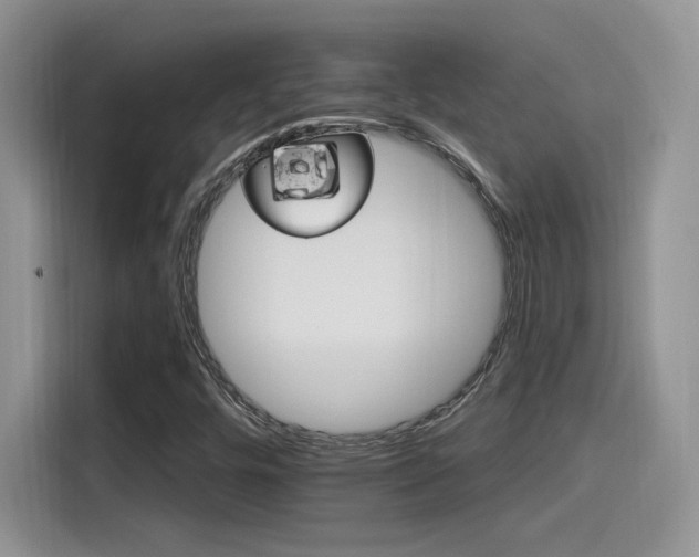 X0000115651448200911171433