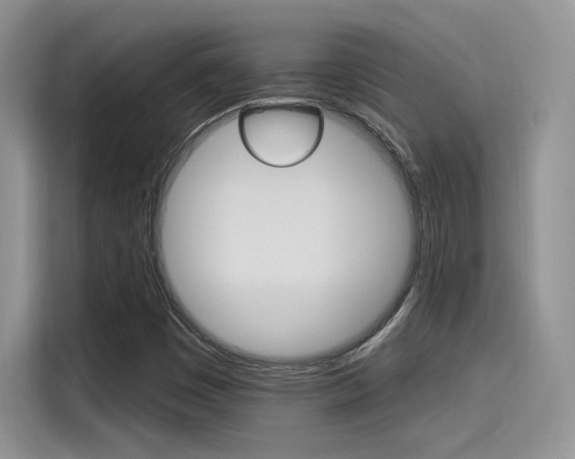 X0000115651449200911171433