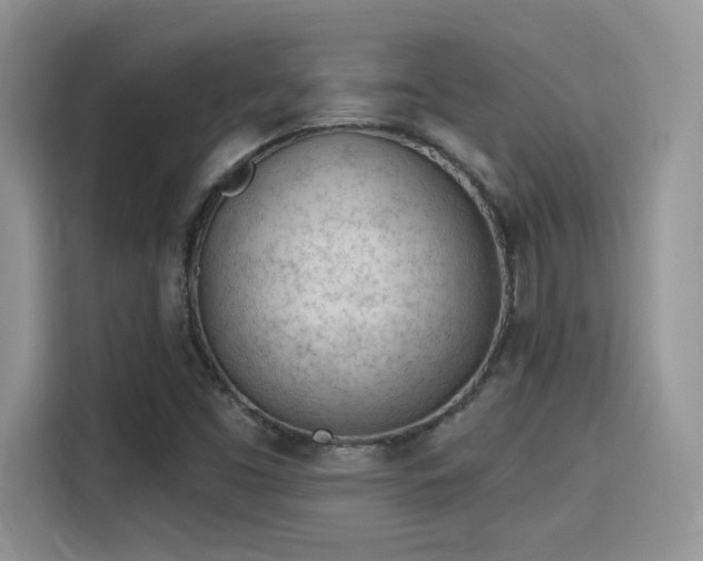 X0000115651453200911171433