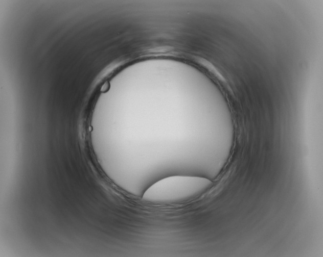 X0000115651458200911171433