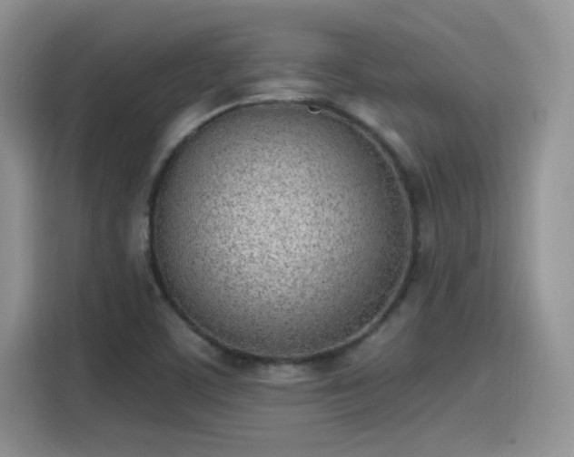 X0000115651459200911171433