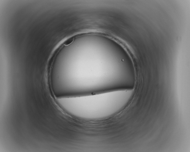 X0000115651460200911171433