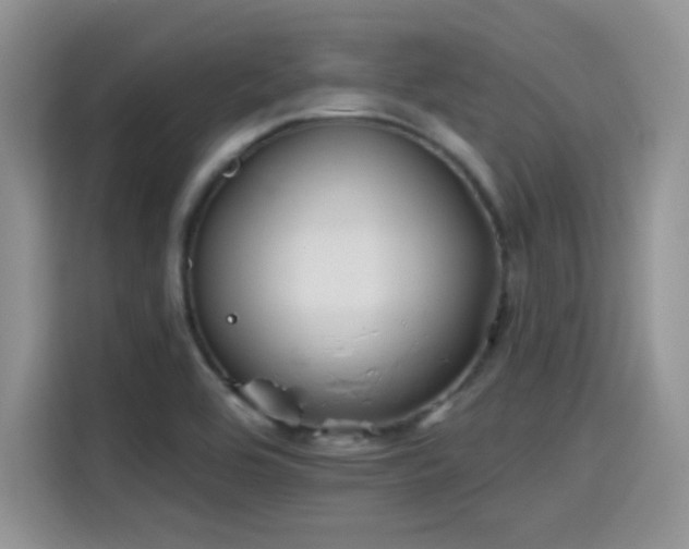 X0000115651464200911171433