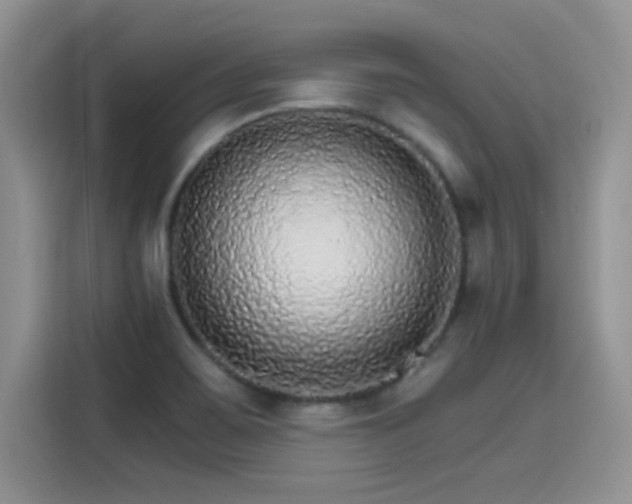 X0000115651467200911171433