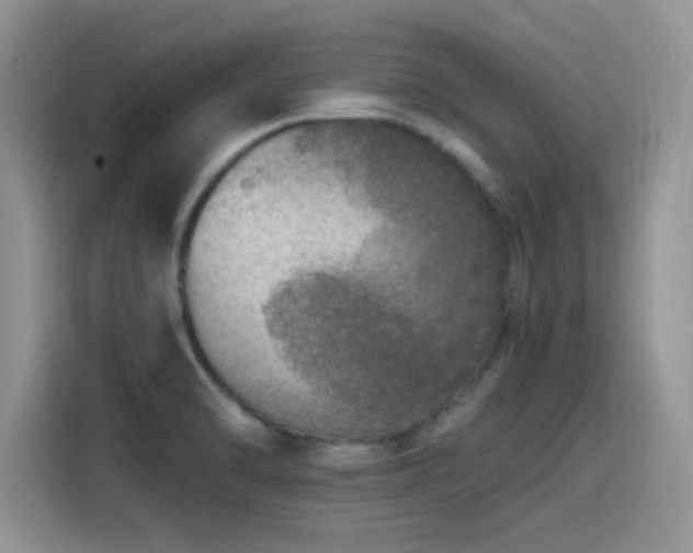 X0000115651470200911171433