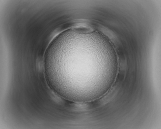 X0000115651473200911171432