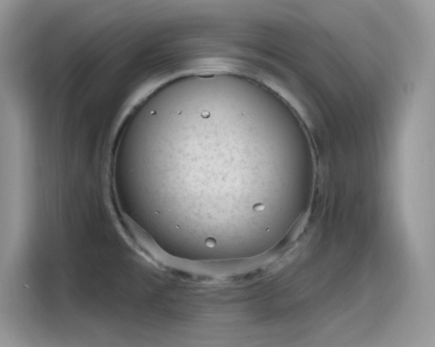 X0000115651477200911171432
