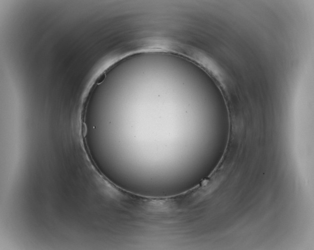 X0000115651480200911171432