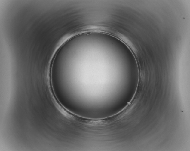 X0000115651482200911171432