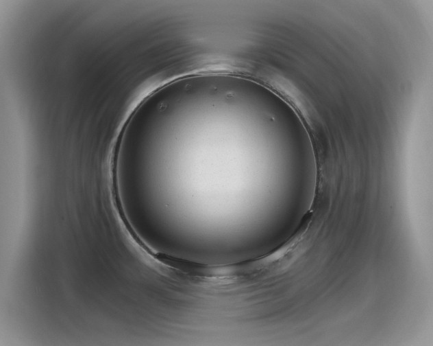 X0000115651483200911171432