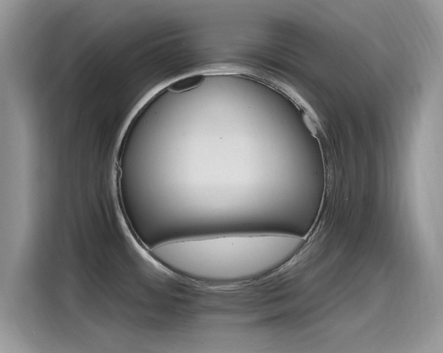 X0000115651484200911171432