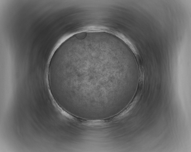 X0000115651486200911171432