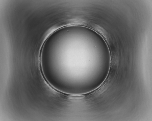 X0000115651487200911171432