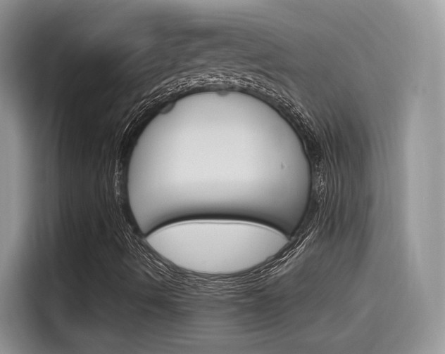 X0000115651490200911171432