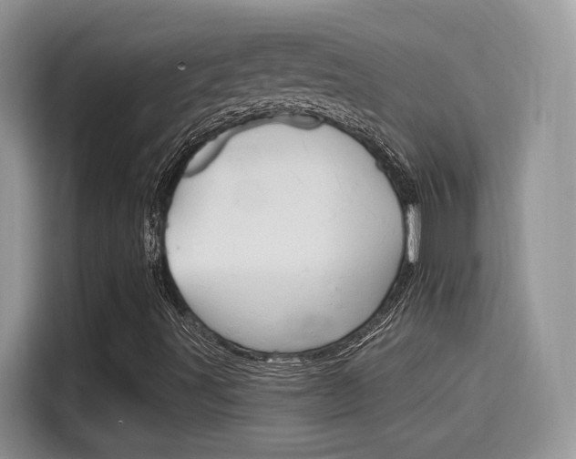 X0000115651491200911171432
