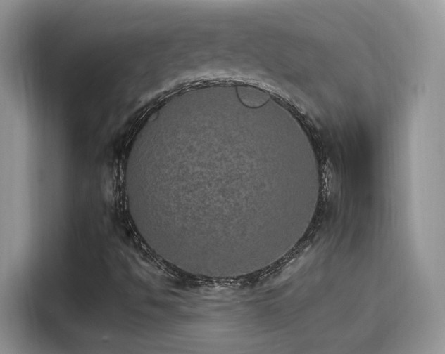 X0000115651494200911171432