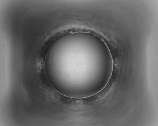 X0000115651495200911171432