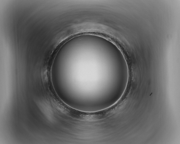 X0000115651497200911171432