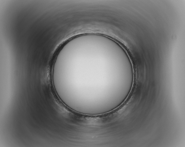X0000115651498200911171432