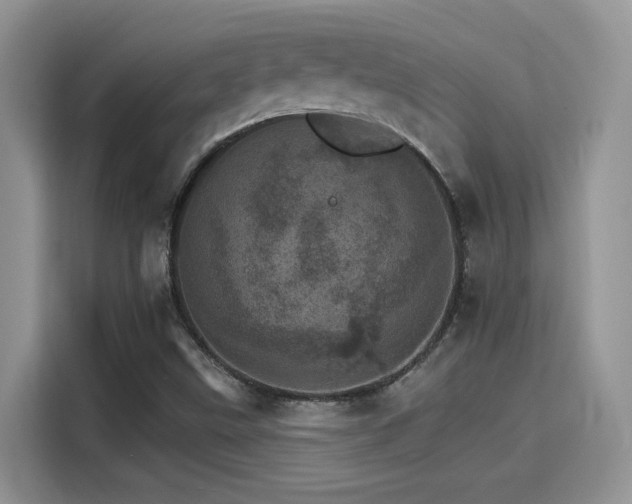 X0000115651499200911171432