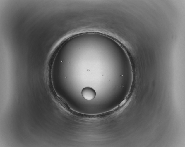 X0000115651502200911171432