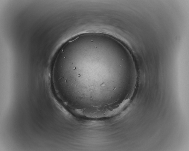 X0000115651506200911171432