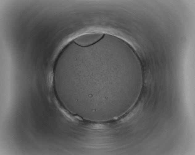 X0000115651507200911171432