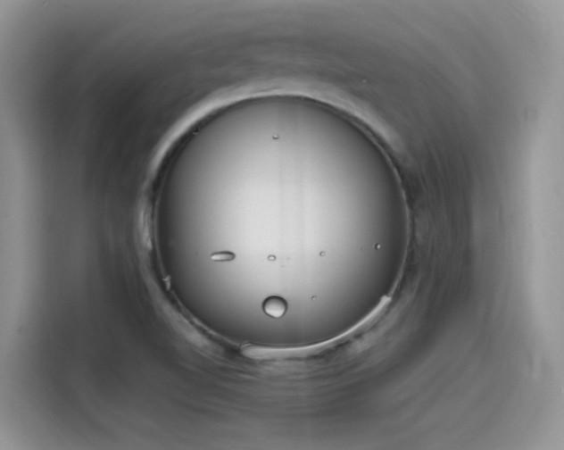 X0000115651510200911171432