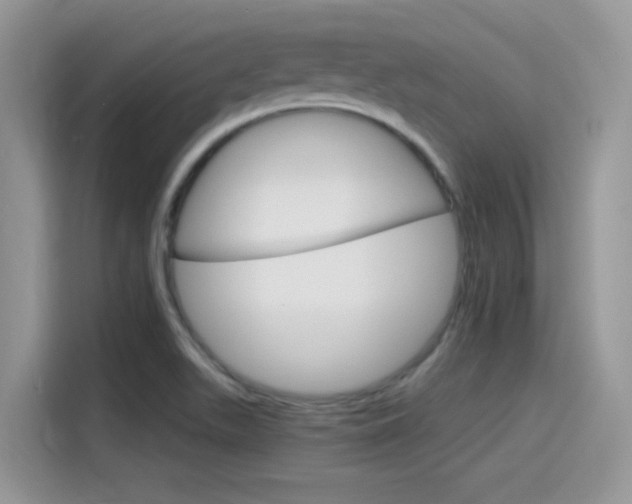 X0000115651511200911171432