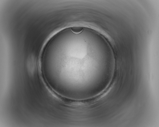 X0000115651517200911171432