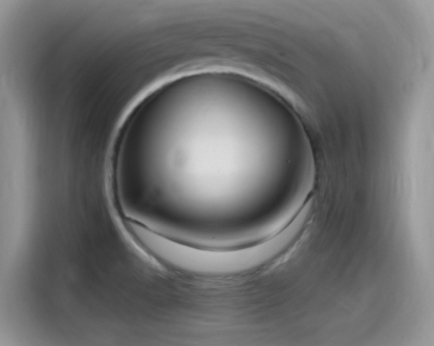 X0000115651518200911171432