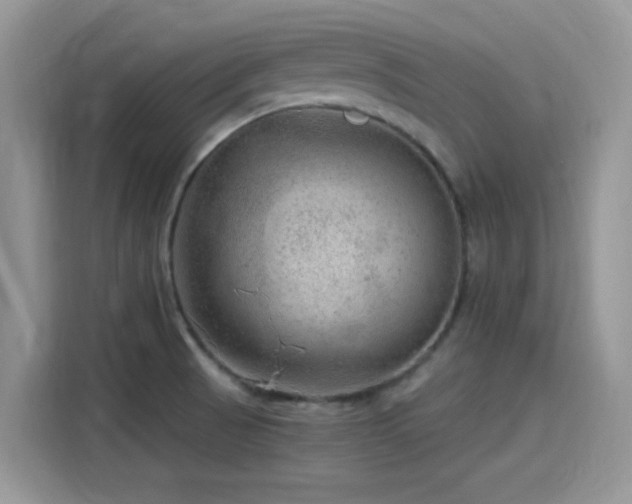 X0000115651521200911171432