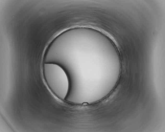 X0000115651525200911171432