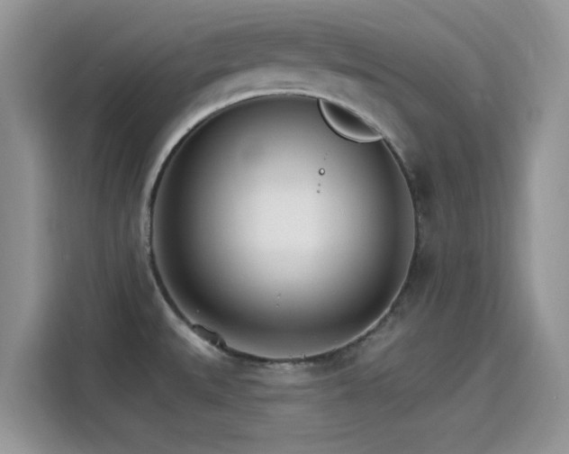 X0000115651527200911171432