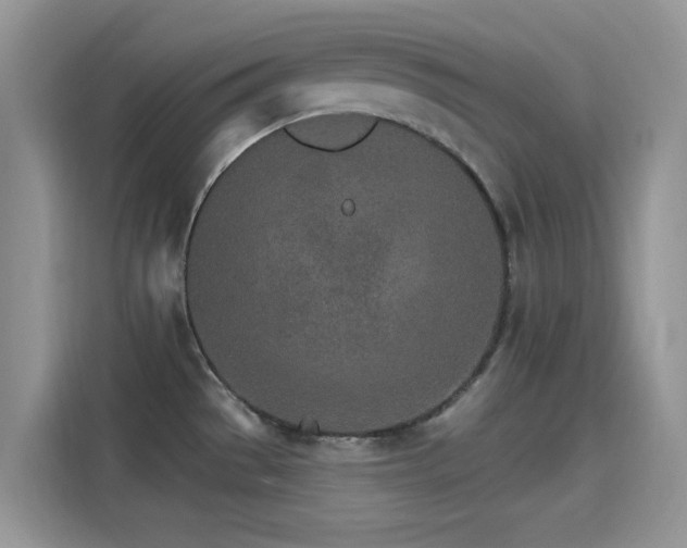 X0000115651529200911171432
