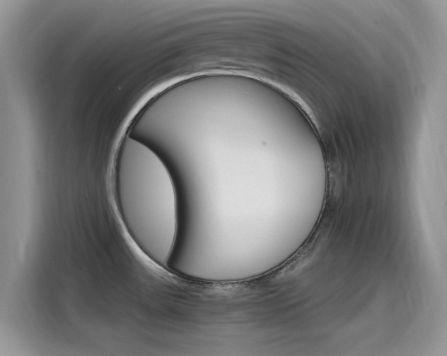 X0000115651531200911171432