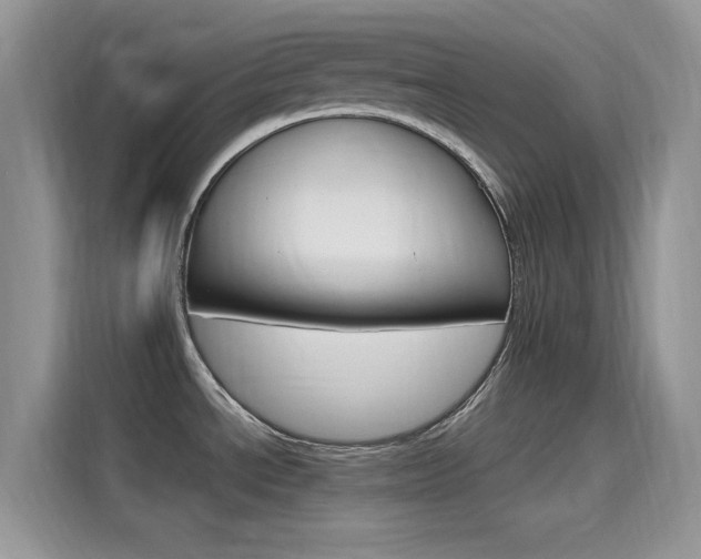 X0000115651534200911171432