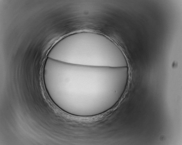 X0000115650001200911241745