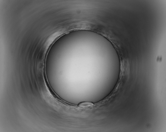 X0000115650003200911241744