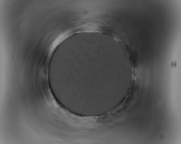 X0000115650004200911241744