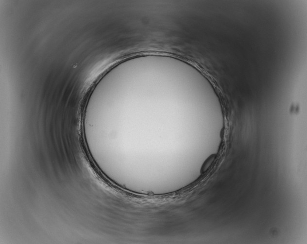 X0000115650005200911241744