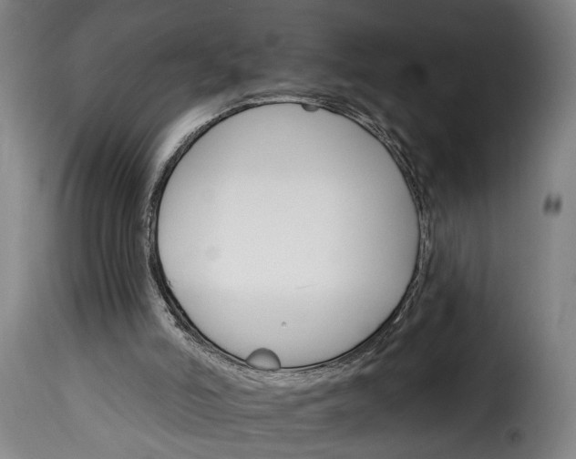 X0000115650006200911241744