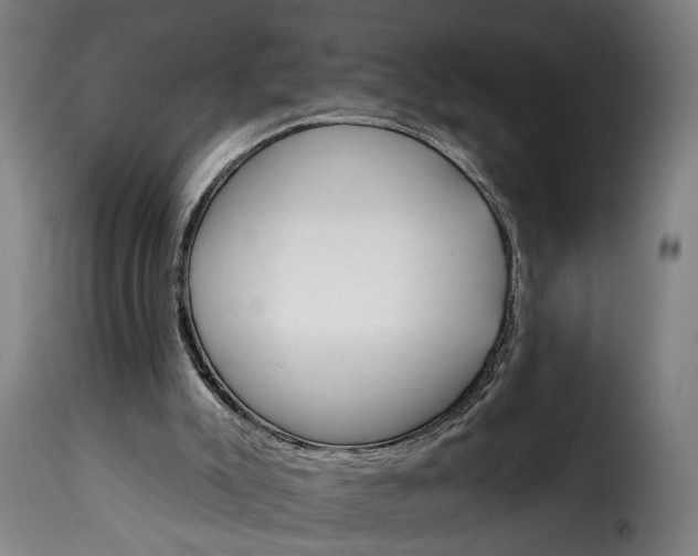 X0000115650007200911241744