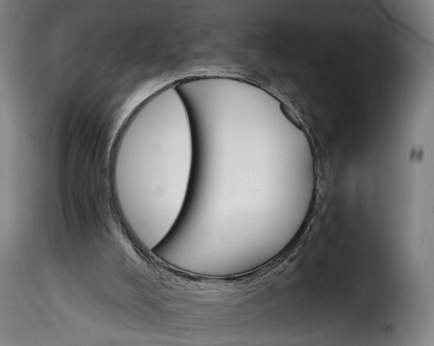 X0000115650008200911241744