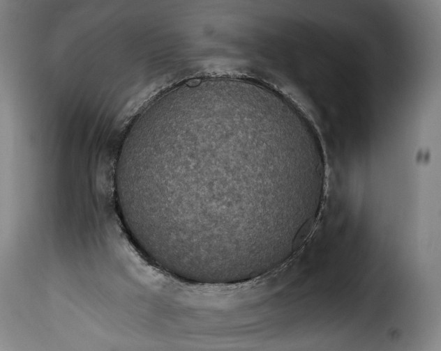 X0000115650009200911241744