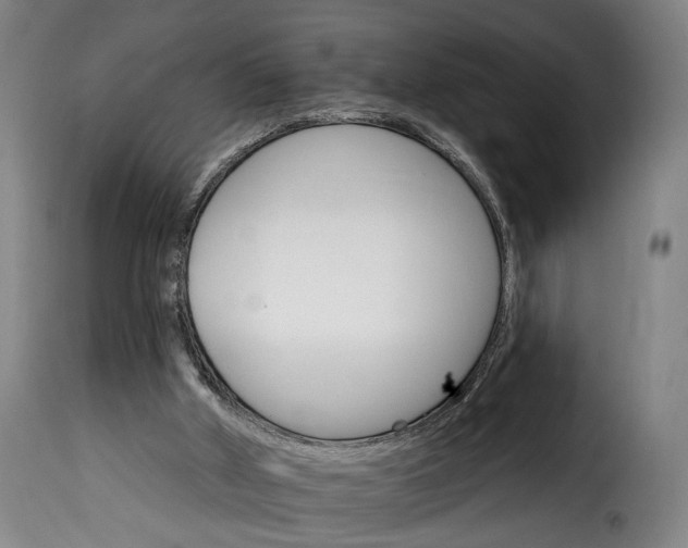 X0000115650010200911241744