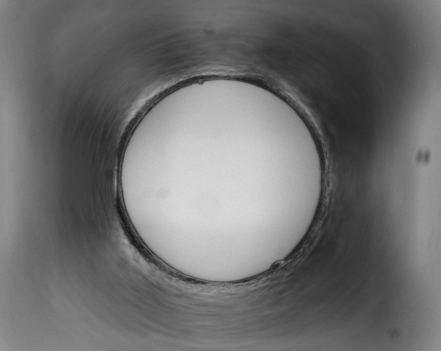 X0000115650011200911241744