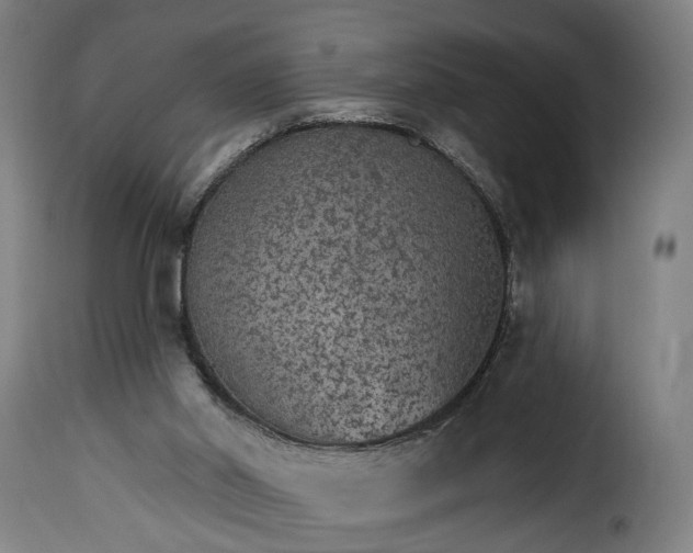 X0000115650014200911241744