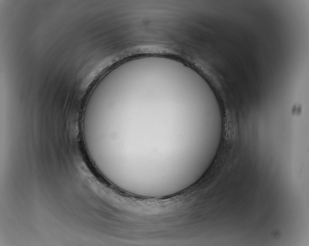 X0000115650015200911241744