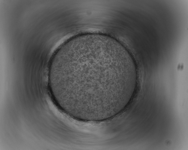 X0000115650016200911241744